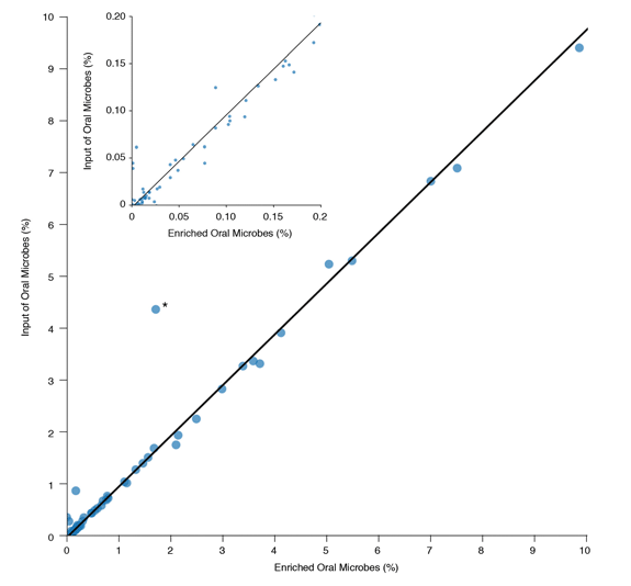 Microbiome Diversity is Retained after Enrichment with the NEBNext Microbiome DNA Enrichment Kit