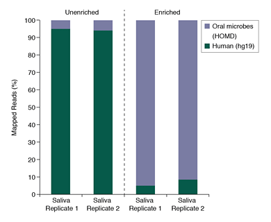 Salivary Microbiome DNA Enrichment