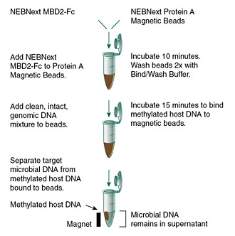 Figure 1. Separation workflow