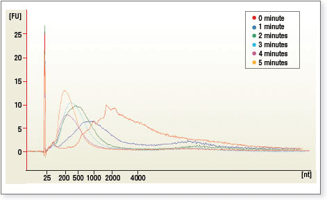 Figure 1: Relative size distribution of eukaryotic mRNA fragments as seen using the Bioanalyzer 2100