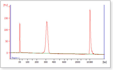 Figure 3: Final Library Size distribution using E-Gel Size Selection.