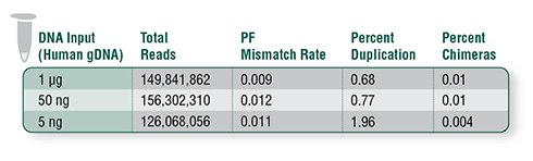 NEBNext Ultra DNA Kits display strong performance with input amounts as low as 5 ng