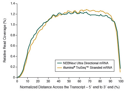 NEBNext Ultra™ Directional RNA libraries provide even coverage across transcripts