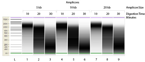 Figure 2: Fragmentation