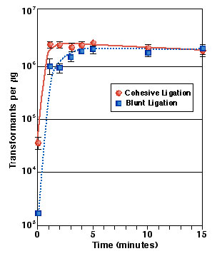 Ligation Time Course