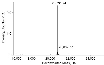 ESI-TOF Analysis of Histone H10 Human, Recombinant.