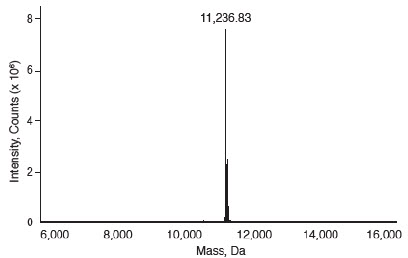 ESI-TOF Analysis of Histone H4 Human, Recombinant