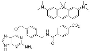 Figure 3: Structure of SNAP-Cell 647-SiR (MW 724.9 g/mol)