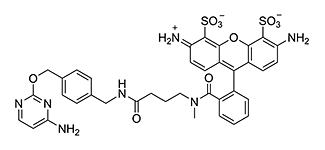 Figure 2: Structure of CLIP-Surface 488 (MW 801.8 g/mol)