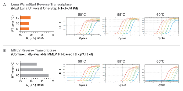 Luna RTqPCR Thermostability