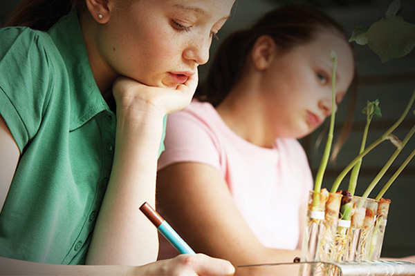 Science Mentorship