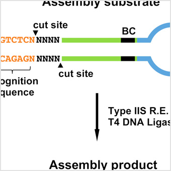 Image from publication