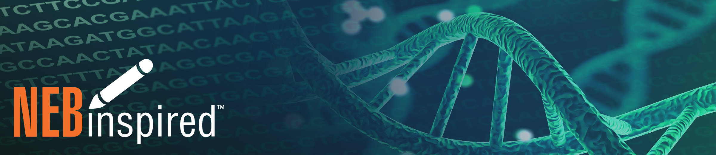 NEB inspired DNA molecule and nucleotide bases in PCR 