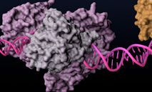 Protein_Tools_TN