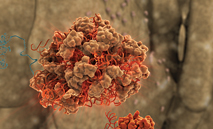 RNA_TN