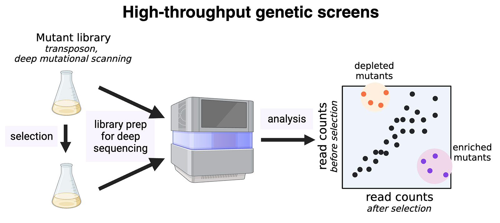 Stylized drawing of a workflow for high-throughput genetic screen