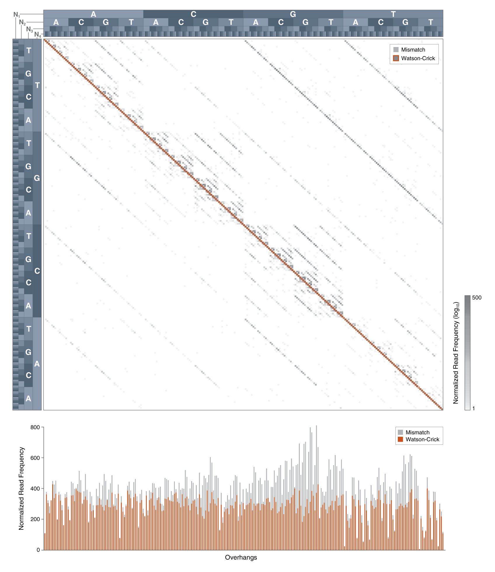 graphs showing normalized read frequencies, mismatches, Watson-Crick matches and overhangs