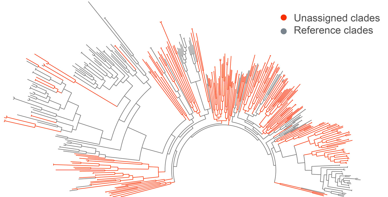 Circular scientific hierarchical map with red and grey radial lines