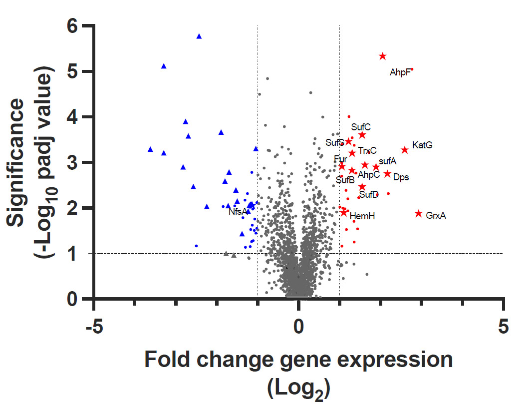 mass spec proteomics image
