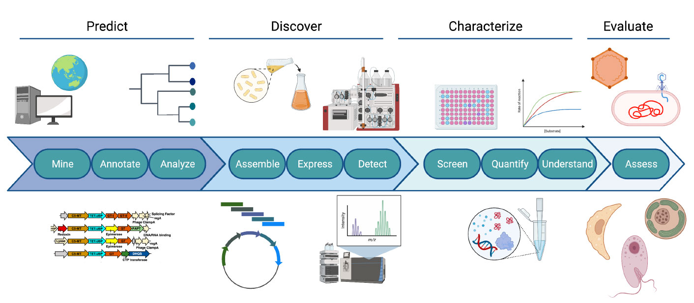 Diagram showing arrows and pictures of scientific equipment, cells and diagrams