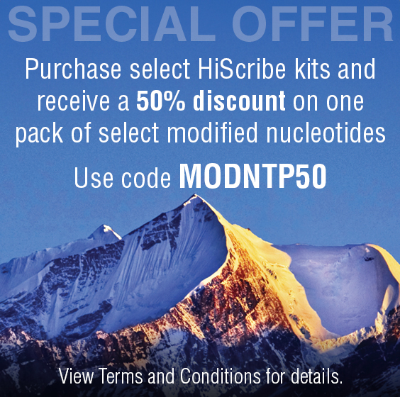 Hi Scribe Offer Contextual Ad