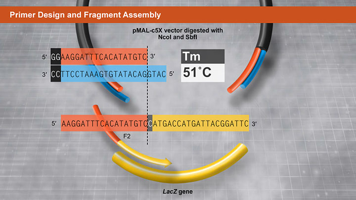 PrimerDesignFragmentAssembly_720