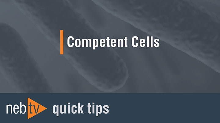 NEBTV_CompetentCells_720