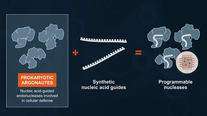 ProkaryoticArgonautes_Overview_thumb_720