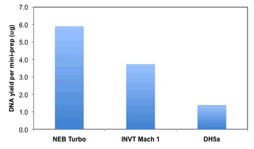 Comparison of DNA yield after 4 hours of growth: 